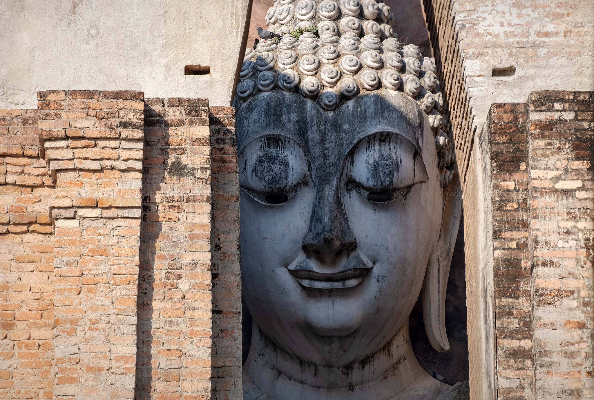 Giant Buddha 